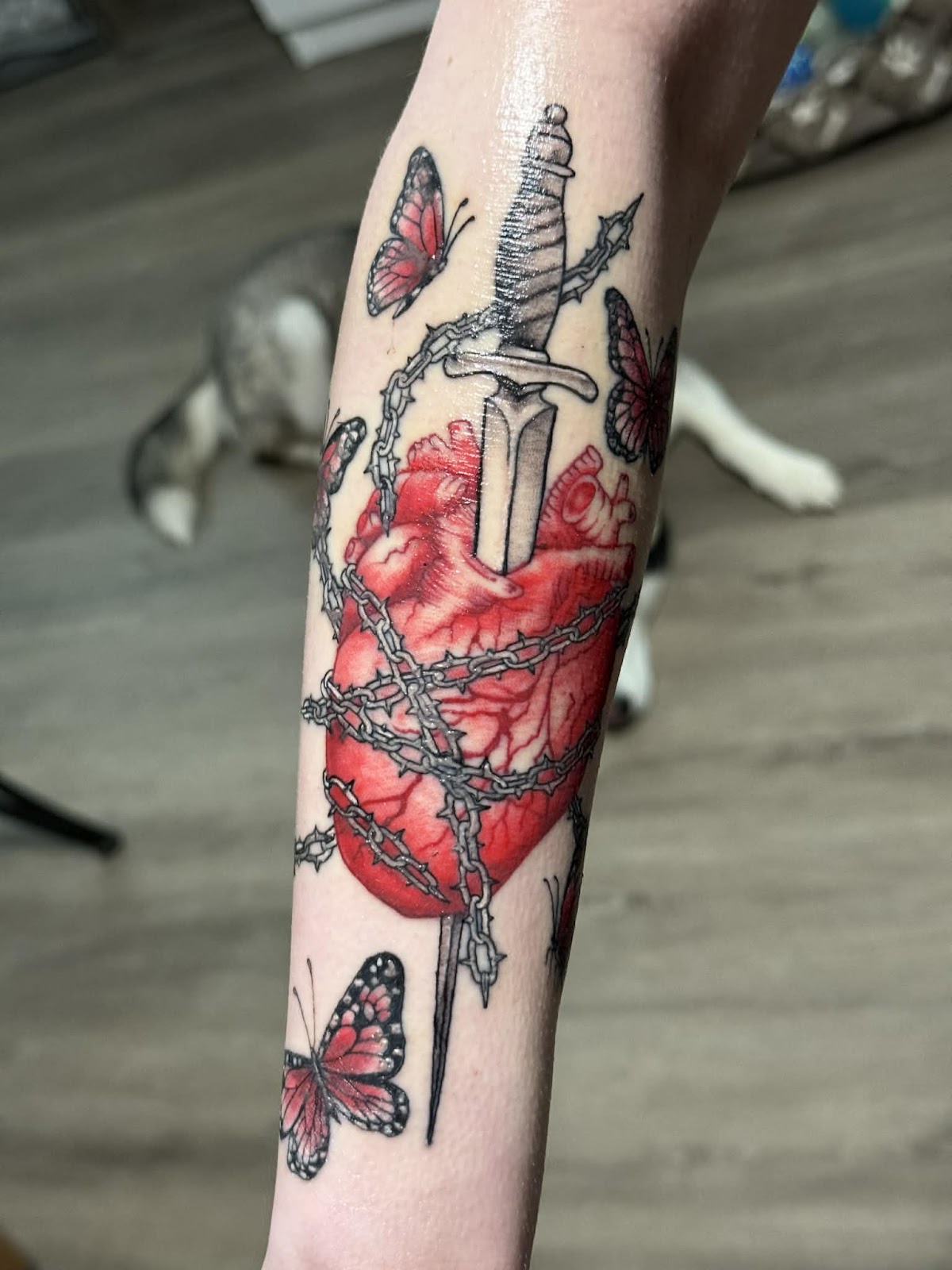 Red anatomical heart wrapped in chains with a dagger and butterflies on a forearm